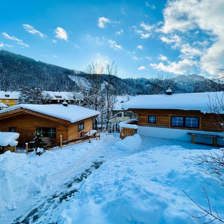 Almdorf im Winkl - Blockhüttendorf in Gröbming - Superior Chalet - 5