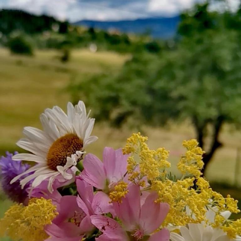 Vikendica Pale - Kuća sa 2 Spavaće Sobe - 25