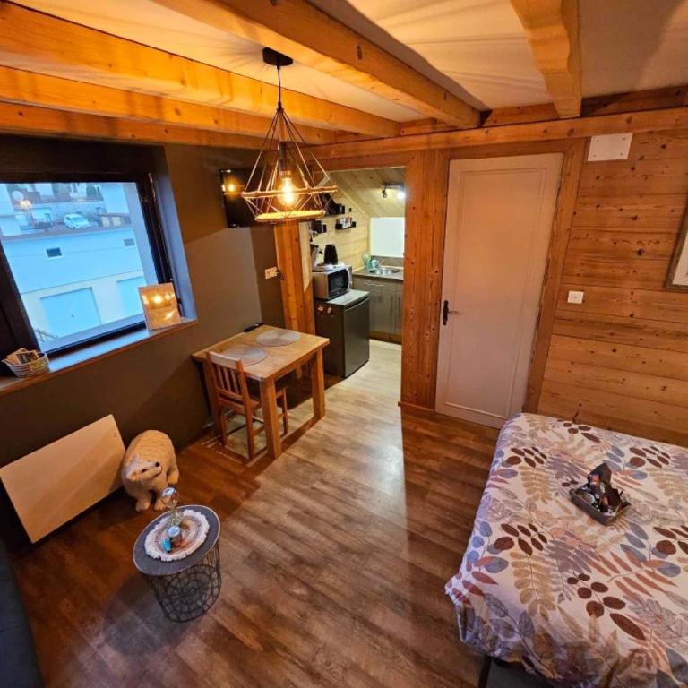 Studio type chalet - Appartement 1 Chambre - 7
