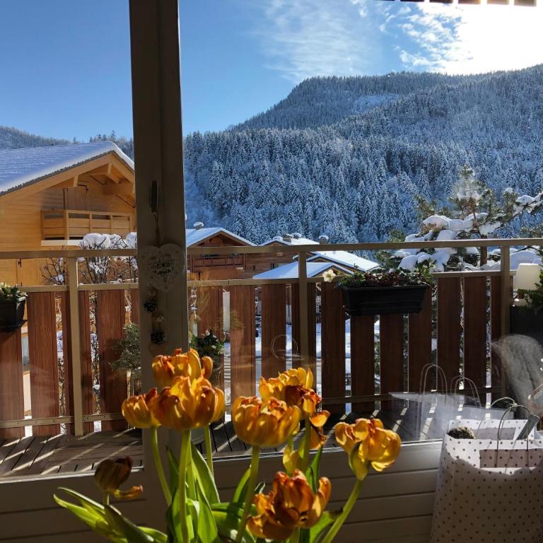 Appart entre lac et montagne - Appartement avec Balcon - 11