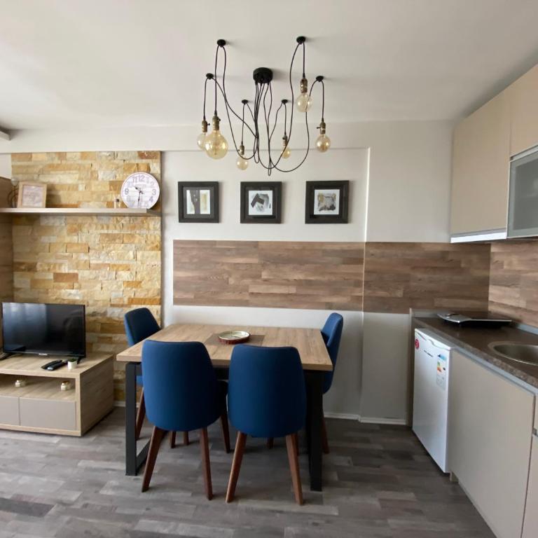 Milmari Premier 28 Kopaonik - Apartman sa 1 Spavaćom Sobom - 8