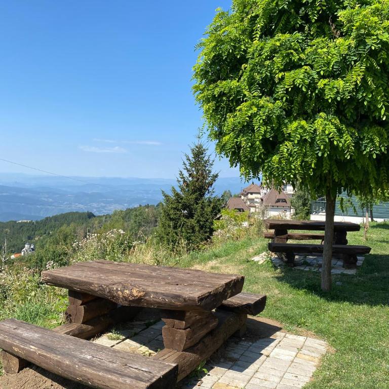 Milmari Premier 28 Kopaonik - Apartman sa 1 Spavaćom Sobom - 22