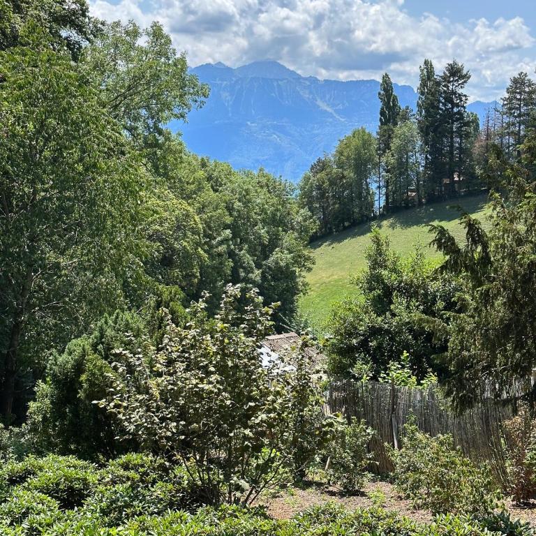 Domaine du Deven Grandvaux - Apartment mit Gartenblick - 6