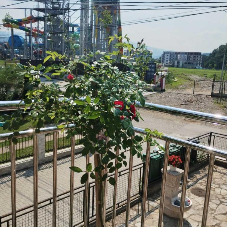 Apartman Raj - Vila sa 2 Spavaće Sobe - 30