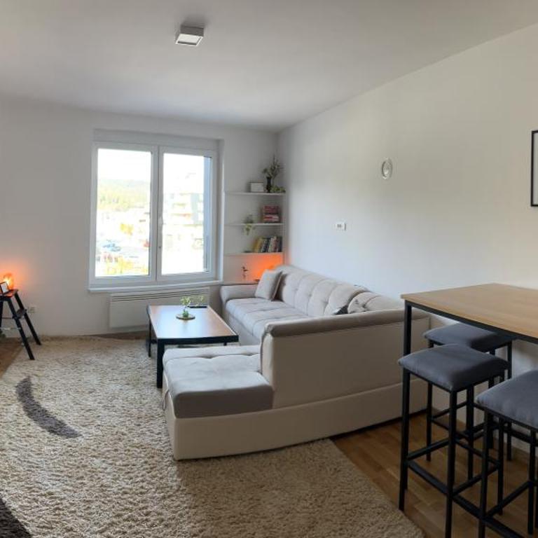 Apartment Bjelašnica 8 - Garage parking included - Apartman sa 1 Spavaćom Sobom - 6