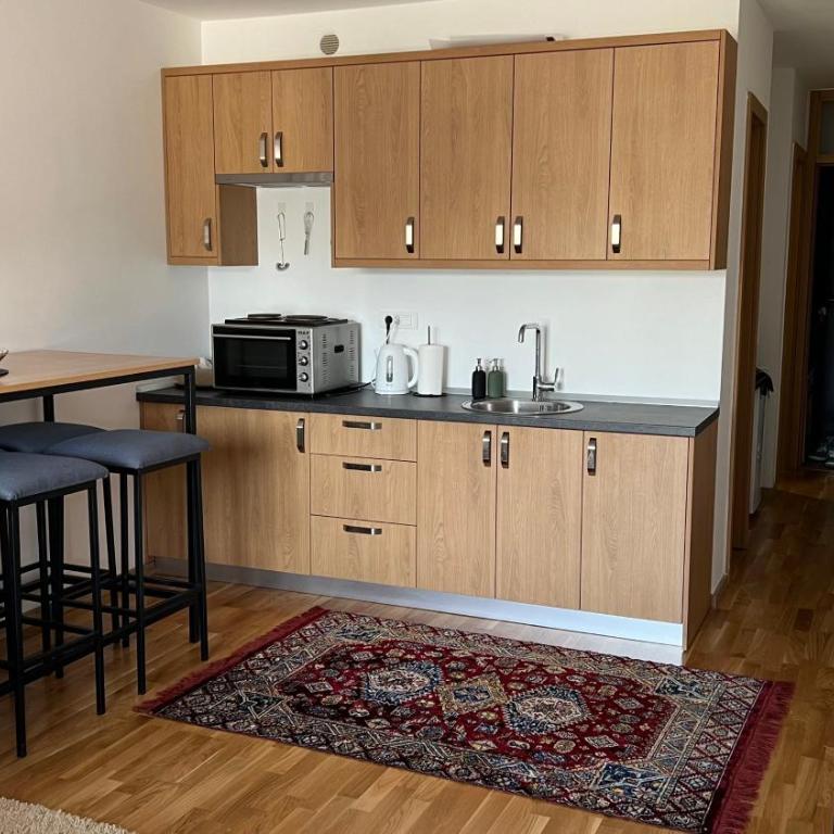 Apartment Bjelašnica 8 - Garage parking included - Apartman sa 1 Spavaćom Sobom - 11