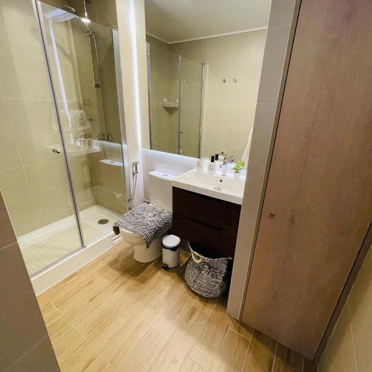 Pucon Life - Apartamento de 1 dormitorio - 15