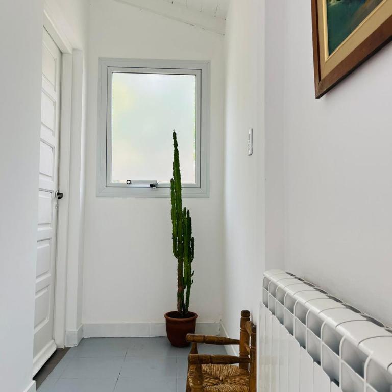 Monoambiente en barrio La Perla con jardín a pocas cuadras de la playa - Casa con 1 dormitorio - 8