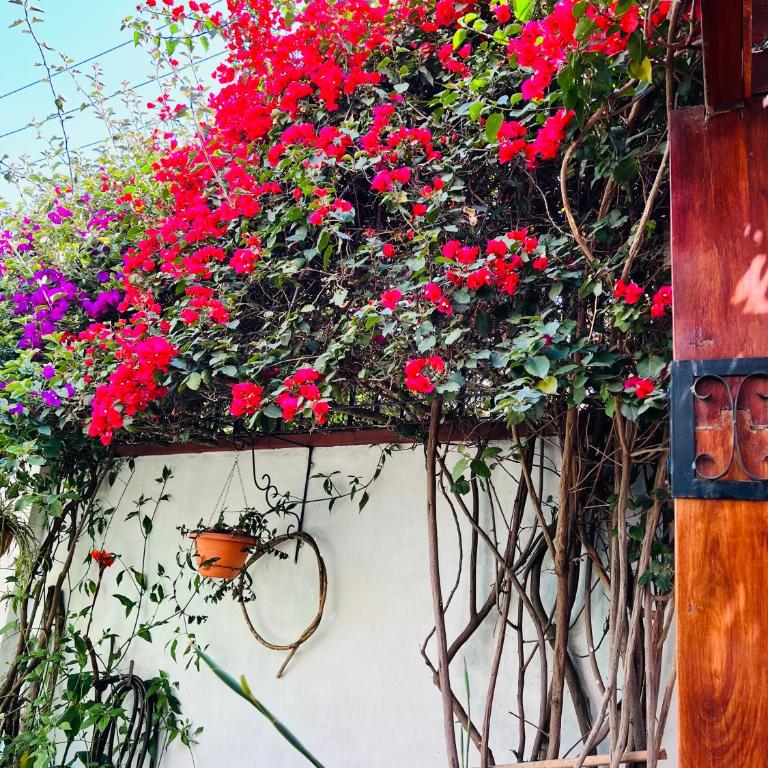 Apartamento entero en Sopocachi - Apartamento de 3 dormitorios - 7