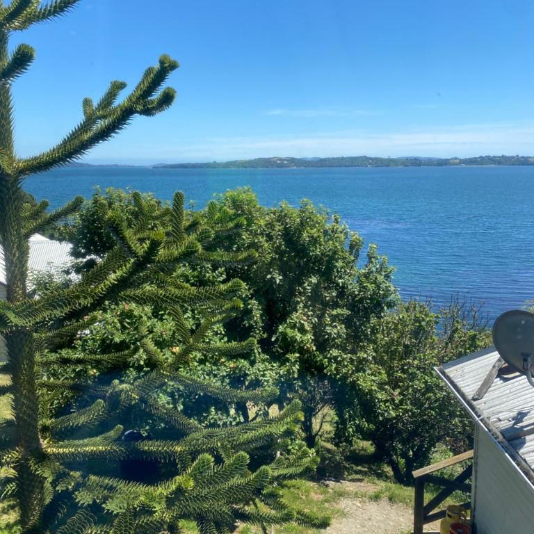 apartment with sea view - Apartamento de 1 dormitorio - 2