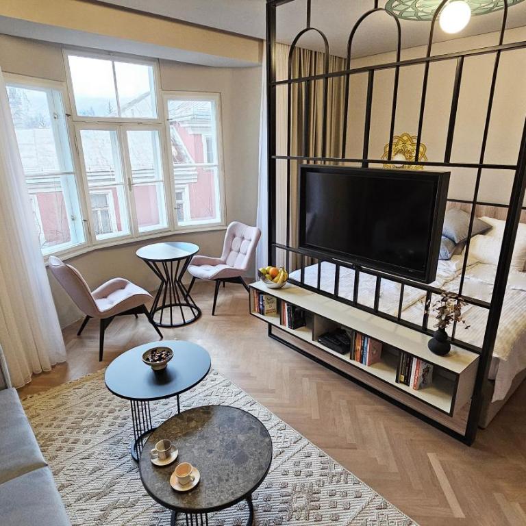 Fadilpasic's House - Studio Apartment - 9
