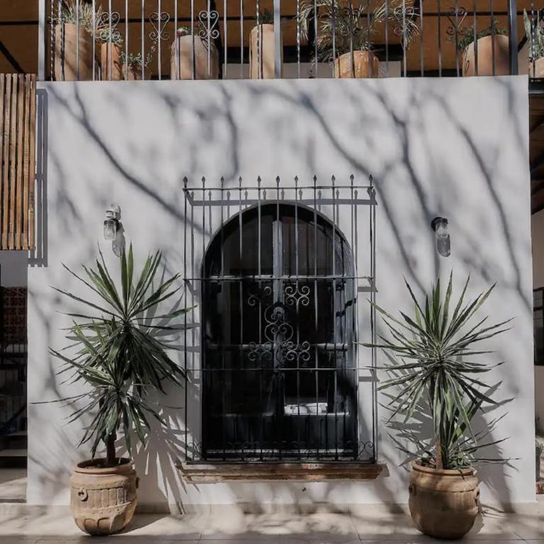 Céntrico Live - Apartamento de 2 dormitorios - 1