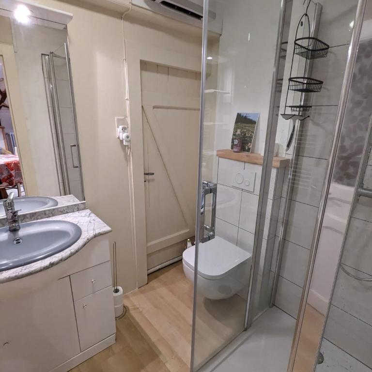 Charmant gîte au coeur du Centre Ville - Appartement 1 Chambre - 9