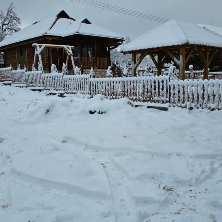 Eko kuća Zlatiborsko srce - Vikendica - 22