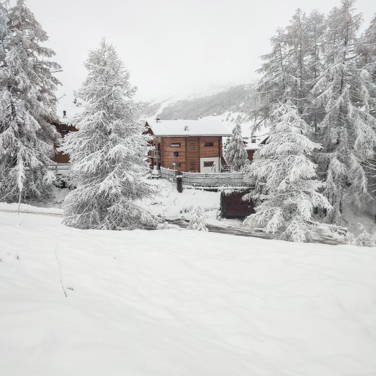 Nix & Nivis Chalet - Appartamento Superior - 29
