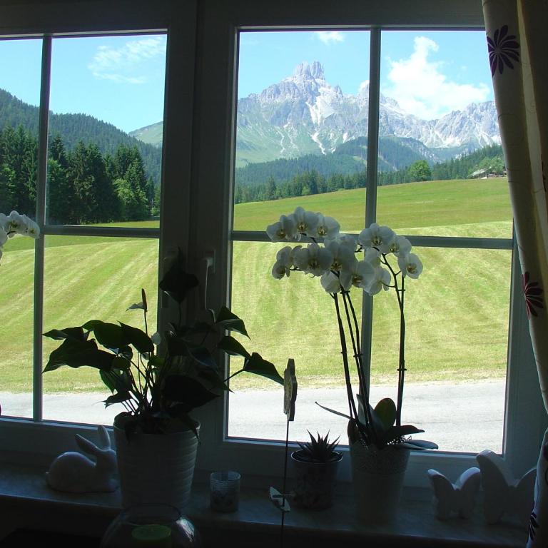 Haus Panorama - Two-Bedroom Apartment - 6