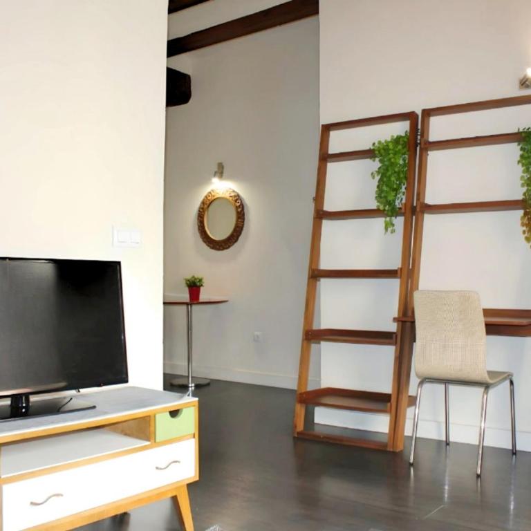 Apartamento reformado cerca de la Plaza Redonda - One-Bedroom Apartment - 17