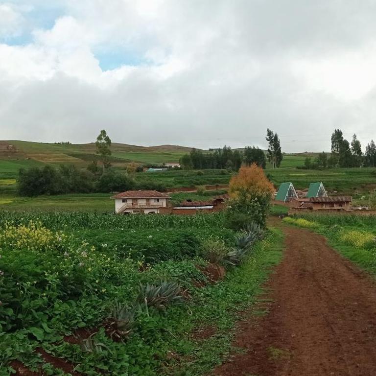 Runa Apartamentos - Casa de Campo de 2 dormitorios - 2