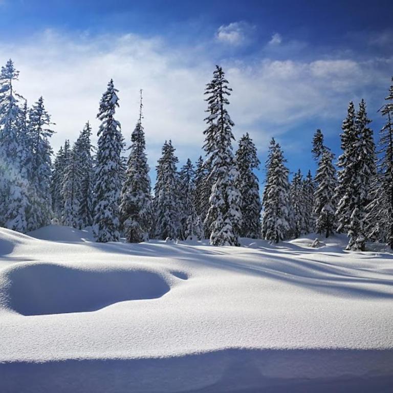 PLEINE PISTE LES SAISIES 5 Personnes - One-Bedroom Apartment - 4