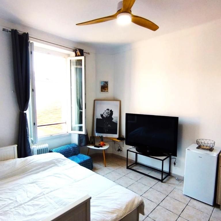 Charming Studio ideal for Congresses and Holidays LIVE IN GAZAGNAIRE - Appartement - 3