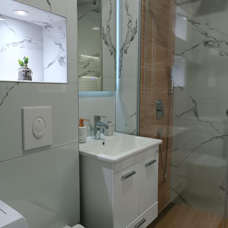 Apartman ''Airplane'' Sarajevo - Apartman sa 1 Spavaćom Sobom - 8