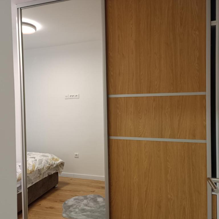 Apartman ''Airplane'' Sarajevo - Apartman sa 1 Spavaćom Sobom - 18