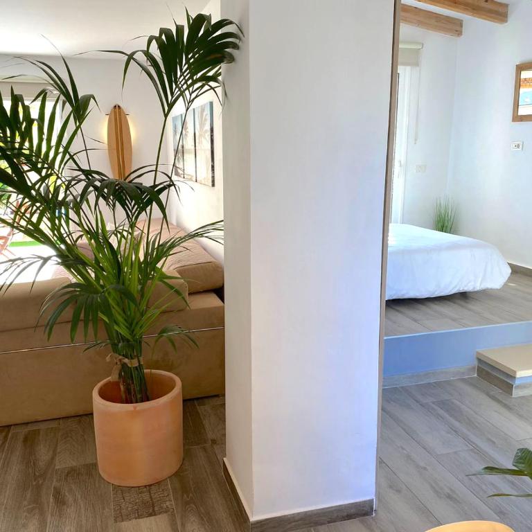Medano Beach - Villa Playa - Casa de 4 dormitorios - 7