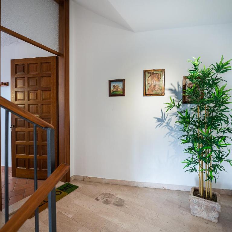Casa vacanze frate Elia - A 50 mt dalla Basilica di San Francesco - Appartamento Standard - 12