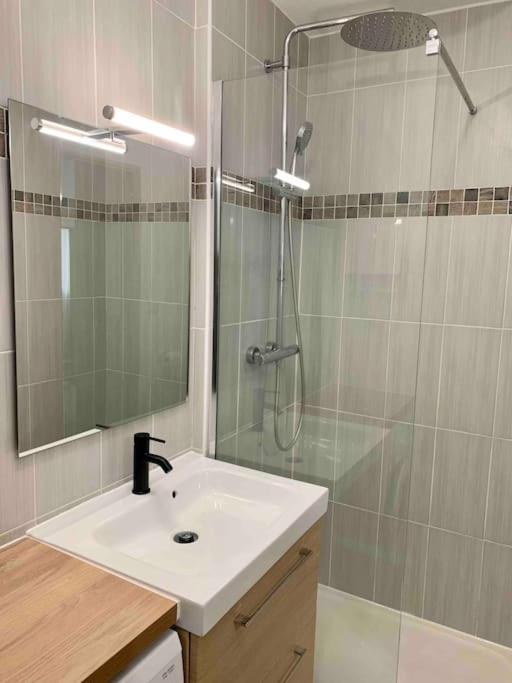 Studio Le Pensier - Monplaisir - Appartement 1 Chambre - 7