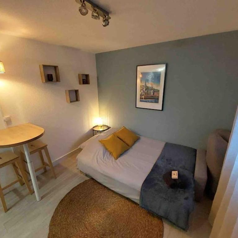 Studio Le Pensier - Monplaisir - Appartement 1 Chambre - 12