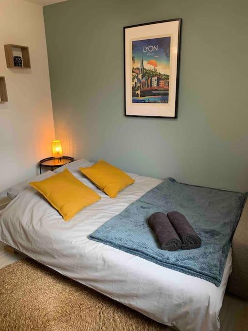 Studio Le Pensier - Monplaisir - Appartement 1 Chambre - 15