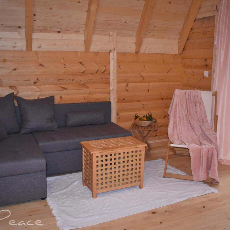 A-frame Apartments Mont Peace - One-Bedroom Apartment - 9