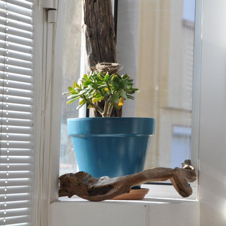 Les Nautiles - Appartement Supérieur - 15