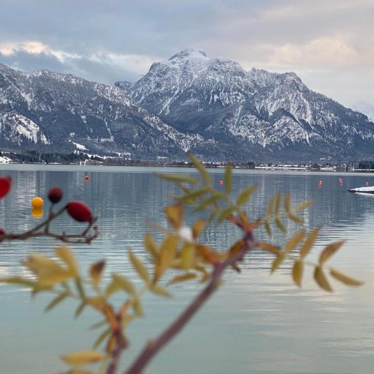 Villa Herzland Allgäu mit großem Garten und gemütlichem Kaminfeuer inklusive KÖNIGSCARD, Skipass, Bergbahn, Therme inkl - Villa mit 3 Schlafzimmern - 37