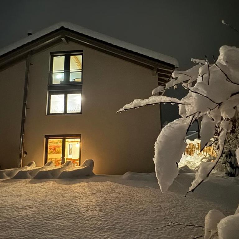 Villa Herzland Allgäu mit großem Garten und gemütlichem Kaminfeuer inklusive KÖNIGSCARD, Skipass, Bergbahn, Therme inkl - Villa mit 3 Schlafzimmern - 3