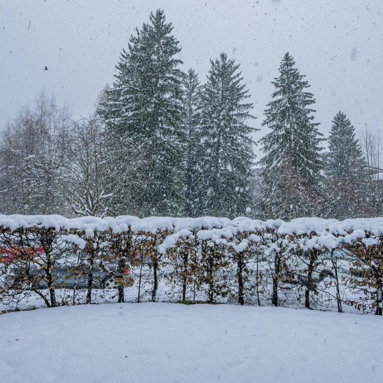 Apartment Triolet Jardin - Garden with Mont Blanc Views - Apartment mit Blick auf die Berge - 10