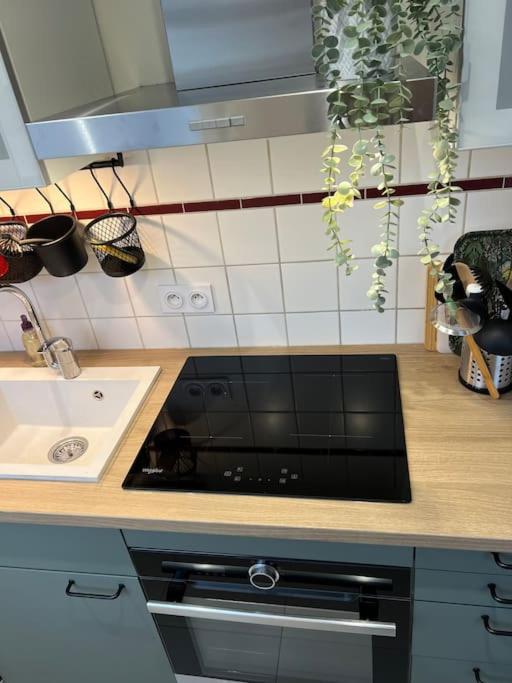 Adorable Appartement Strasbourg NEUDORF PARKING SOUS SOL - Apartamento de 1 dormitorio - 9