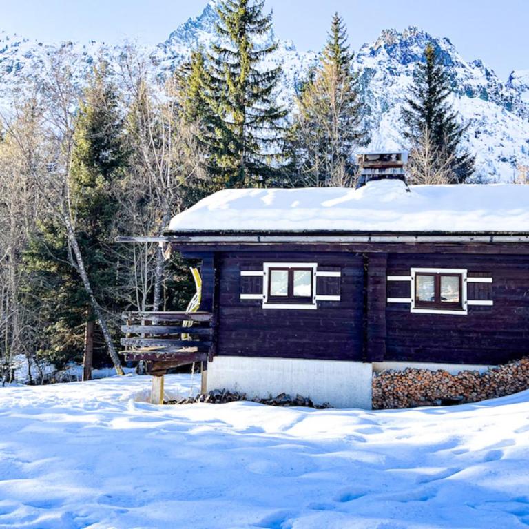 Snowflake cottage with garden - Chalet - 1