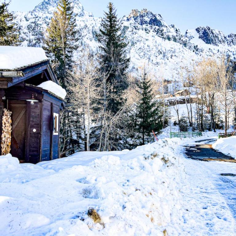 Snowflake cottage with garden - Chalet - 14