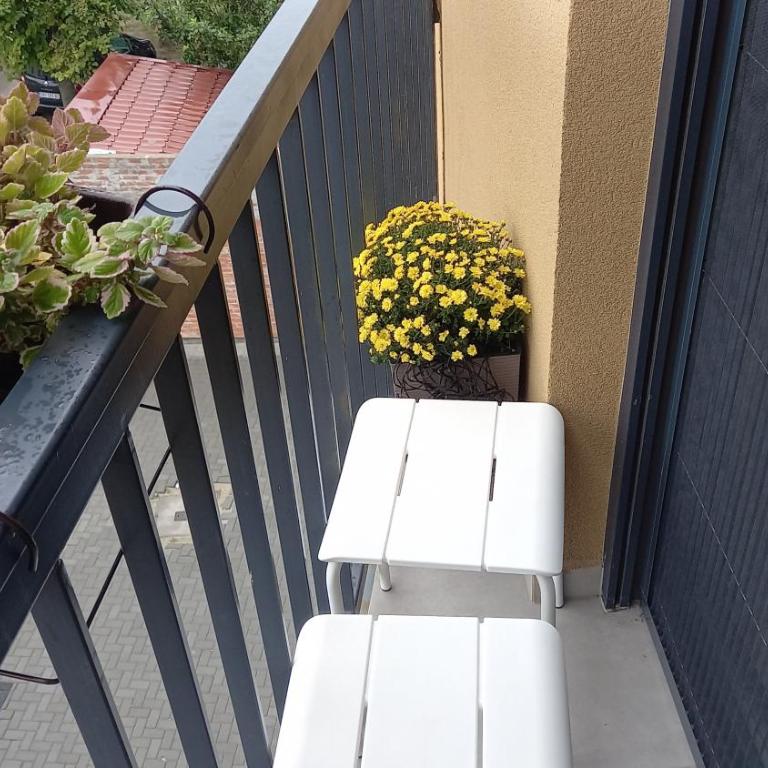 Apartman Liliom - One-Bedroom Apartment - 28