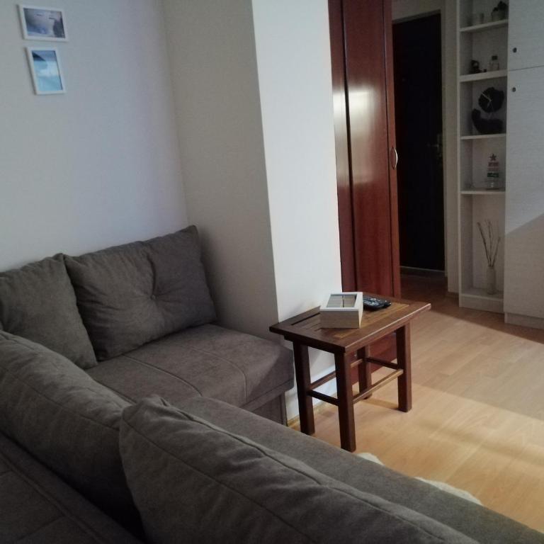 Apartment Lavina Kopaonik - One-Bedroom Apartment - 42