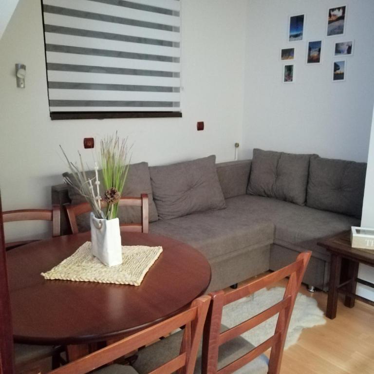 Apartment Lavina Kopaonik - One-Bedroom Apartment - 40