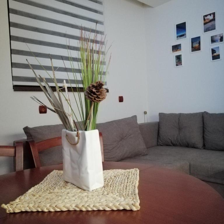 Apartment Lavina Kopaonik - One-Bedroom Apartment - 39