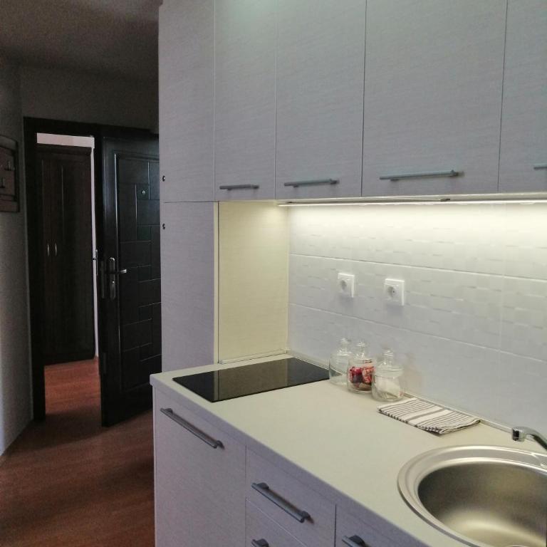 Apartment Lavina Kopaonik - One-Bedroom Apartment - 27