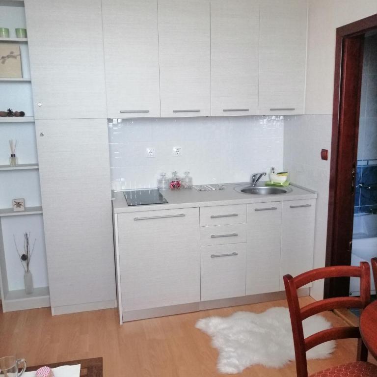 Apartment Lavina Kopaonik - One-Bedroom Apartment - 25