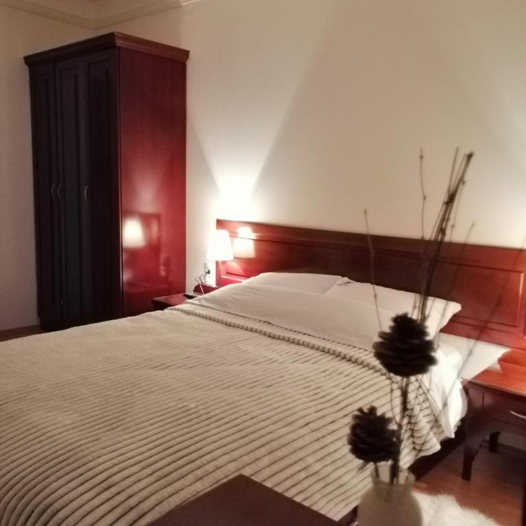 Apartment Lavina Kopaonik - One-Bedroom Apartment - 71