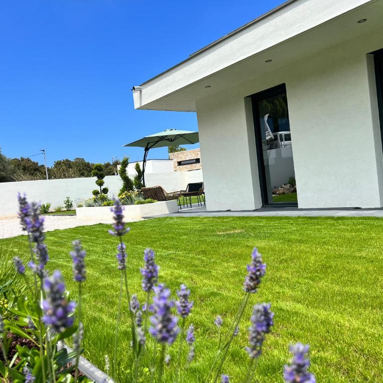 Villa Valentin 2 chambres avec piscine chauffé à Calvi - Two-Bedroom Villa - 2