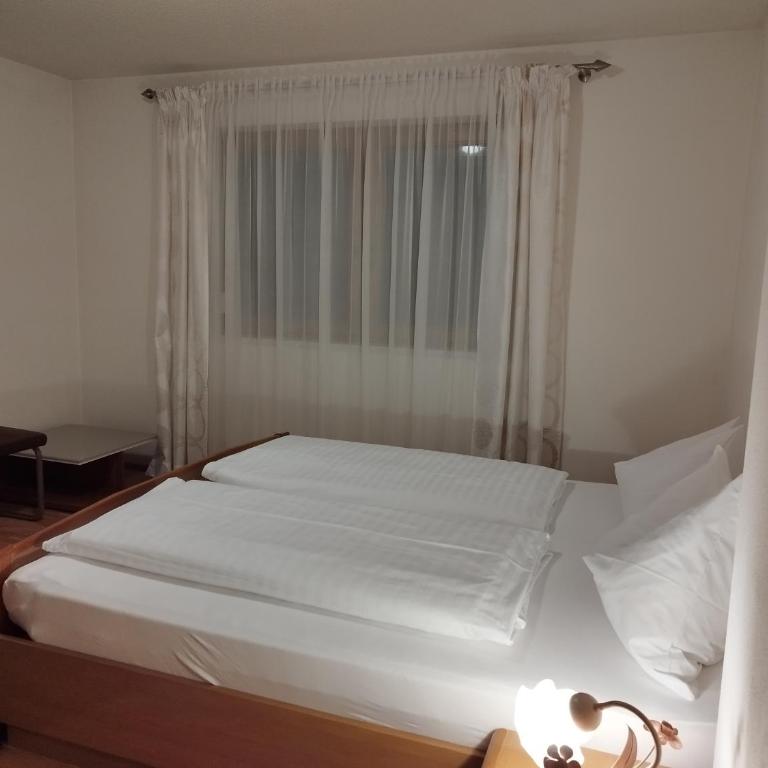 Ferienwohnung Sailer - Apartamento con terraza - 3