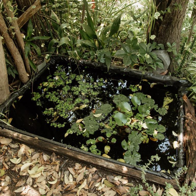 Prana Eco hospedaje - Chalet de 1 dormitorio - 8