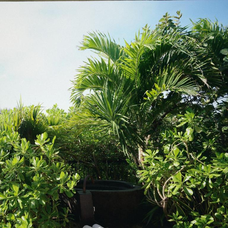 BE Destination Tulum - Suite frente al mar - 2